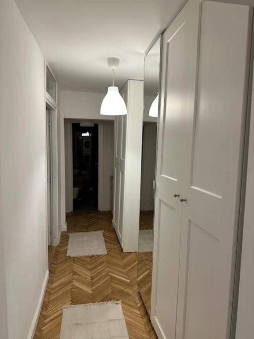Simba Residence Temešvár Exteriér fotografie